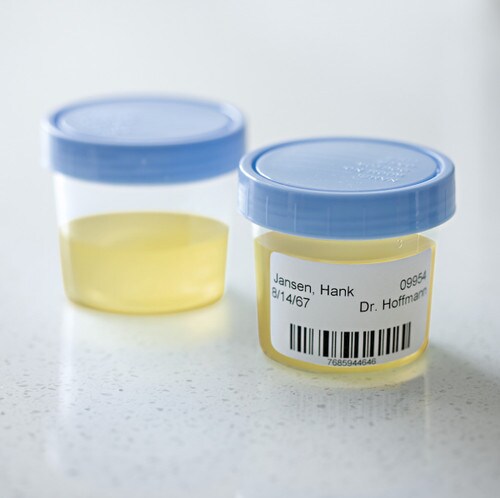 Labelcity 121000 Multipurpose Label